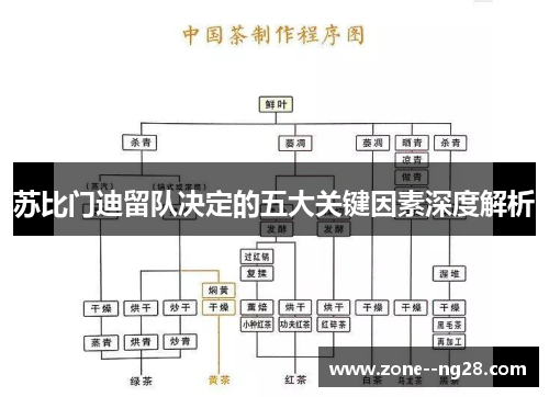 苏比门迪留队决定的五大关键因素深度解析 苏比门迪留队决定的五大关键因素深度解析
