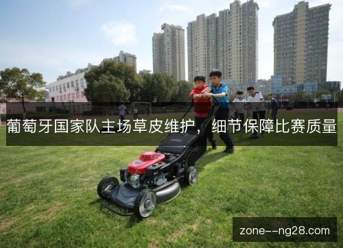 葡萄牙国家队主场草皮维护，细节保障比赛质量
